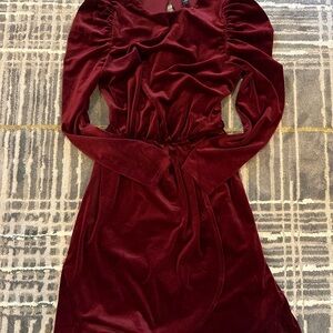 Express Rich Burgundy Long Sleeve Dress